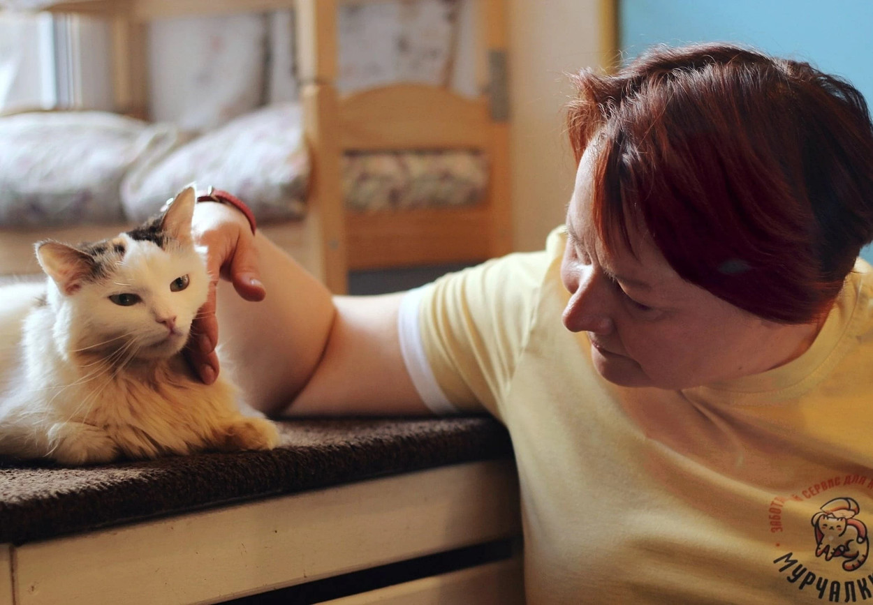 Карантин у животных