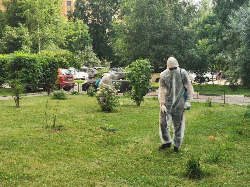 Противоклещевую обработку во дворах Реутова проводят коммунальщики