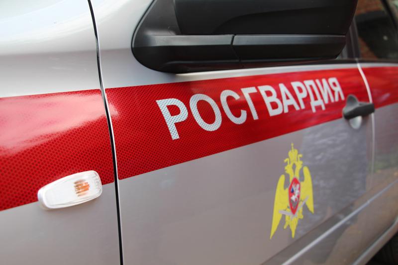 В Подмосковье сотрудники Росгвардии задержали мужчину, находившегося в федеральном розыске