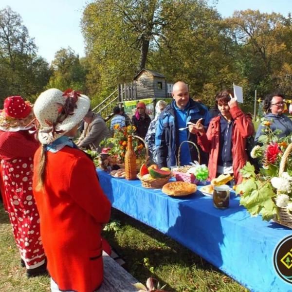 В национальном парке «Чаваш вармане» прошёл Фестиваль грибов