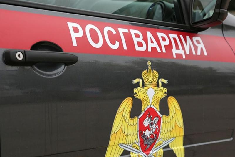 В Мурманске росгварейцы задержали жителя Московской области за хищение товара из магазина