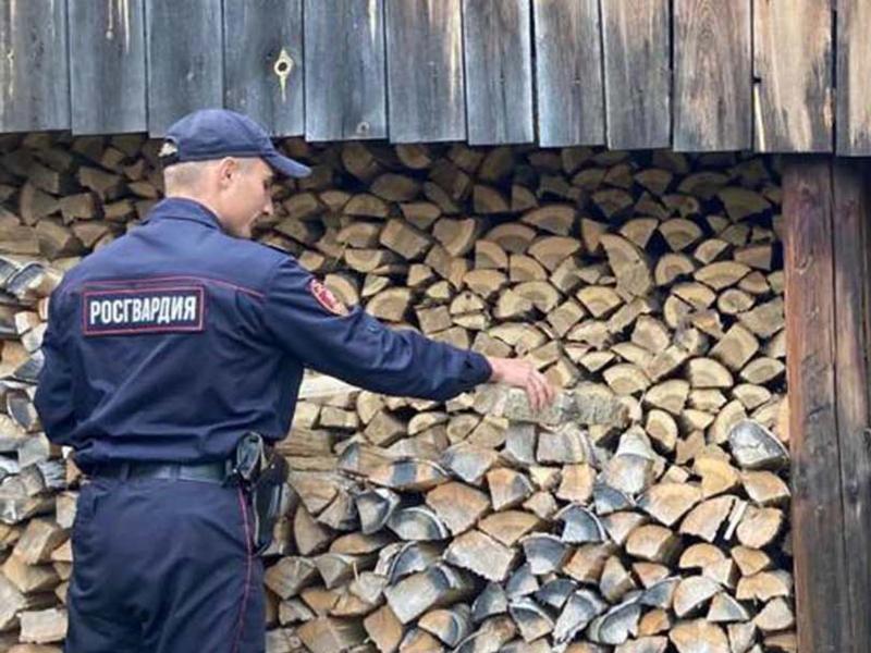 В рамках Декады пожилого человека росгвардейцы из Иркутской области оказали помощь 96-летней пенсионерке с заготовкой дров на зимний период