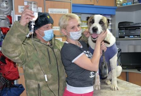 Военнослужащий Росгвардии из Югры позаботился о больной бездомной собаке