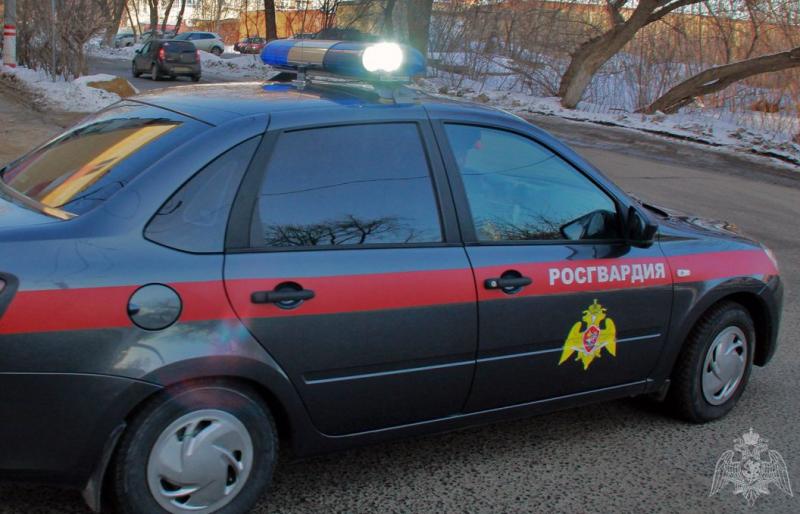 В Саранске сотрудники Росгвардии задержали подозреваемого в краже сотового телефона
