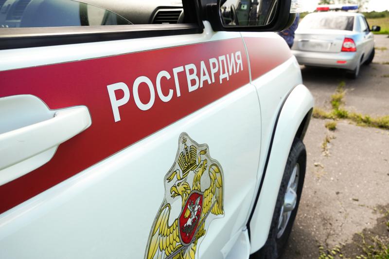 В Великом Новгороде сотрудники Росгвардии задержали мужчину, находившегося в розыске