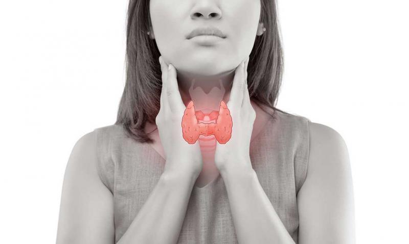 Болезнь Хашимото — распространенная проблема с щитовидкой - поясняет магазин медтехники ME-D.RU