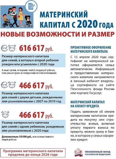 Материнским капиталом в 2020 году воспользовались почти 700 тысяч российских семей