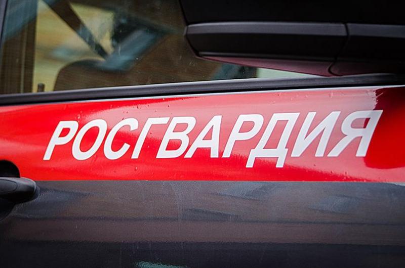 На Ямале патрульный экипаж Росгвардии оказал помощь в тушении горящего автомобиля