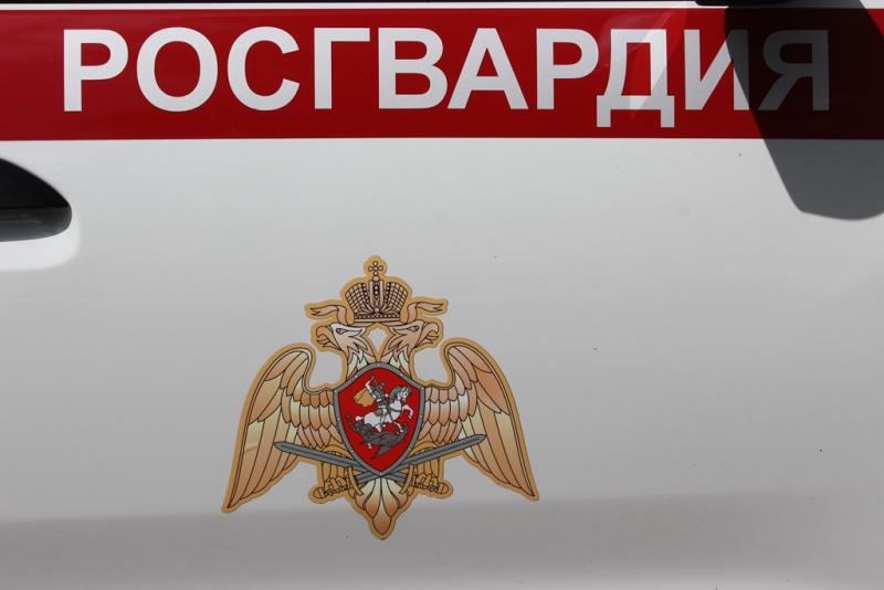 В Челябинске сотрудники Росгвардии за сутки задержали двух граждан, находившихся в федеральном розыске