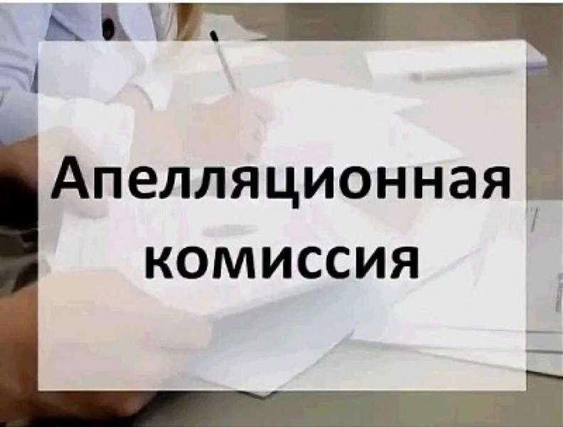 Итоги деятельности Апелляционной комиссии об обжаловании решений  о приостановлении осуществления государственного кадастрового учета за 2020 год