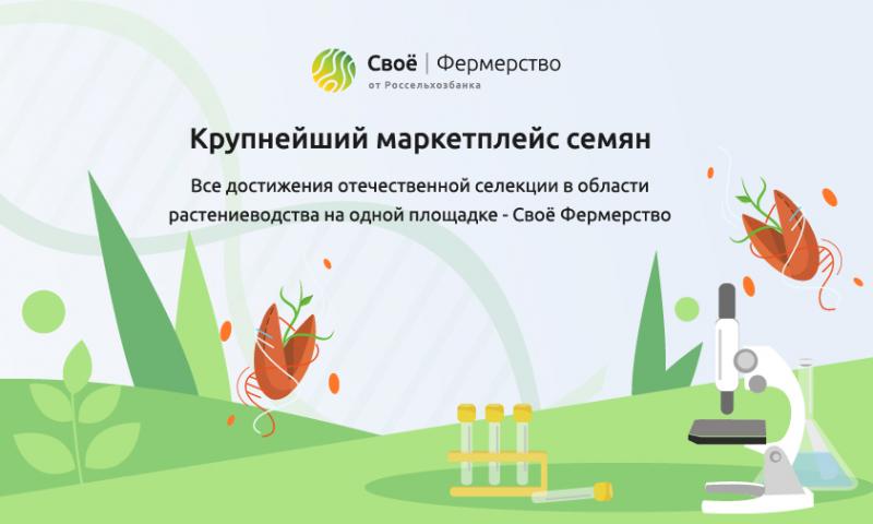 Аграрии получили возможность заказать лучшие селекционные семена на маркетплейсе РСХБ