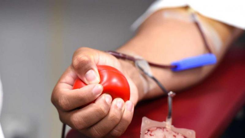 За 2020 год в Подмосковье собрано более 64 тонн донорской крови