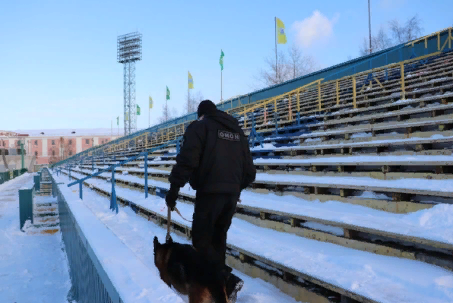 В Архангельске при содействии Росгвардии обеспечена безопасность матча по хоккею с мячом