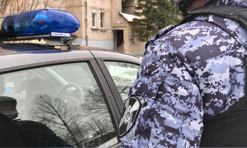 В Пскове росгвардейцы задержали подозреваемого в краже