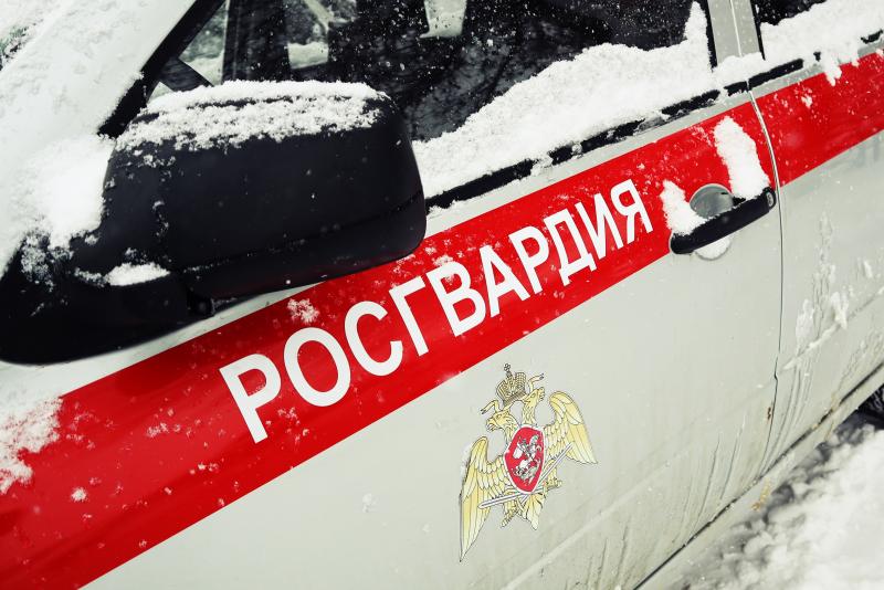На Ставрополье росгвардейцы задержали подозреваемого в краже