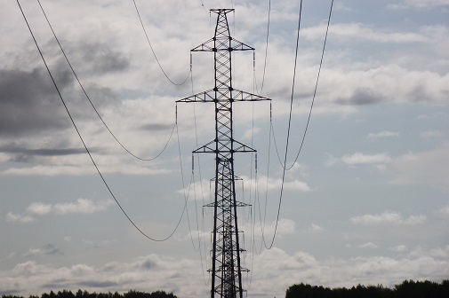 «Россети ФСК ЕЭС» приступила к расчистке 3,6 тыс. га трасс линий электропередачи в Амурской области
