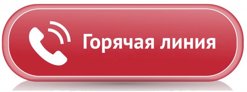 Отделение лицензионно-разрешительной работы по г. Великий Новгород и Новгородскому району проводит телефонную «горячую линию»
