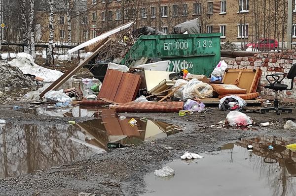 Горы мусора: Народный фронт в Коми добивается ликвидации свалки ТКО в центре поселка Дальний