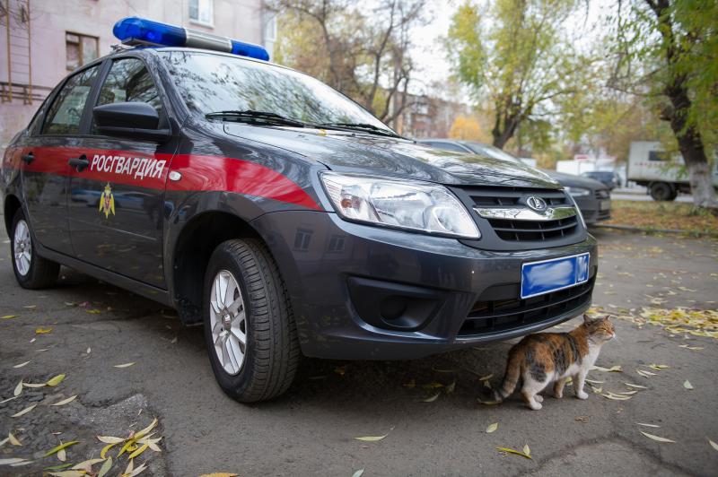 В Челябинске сотрудники вневедомственной охраны по горячим следам задержали подозреваемых в краже крышки колодезного люка