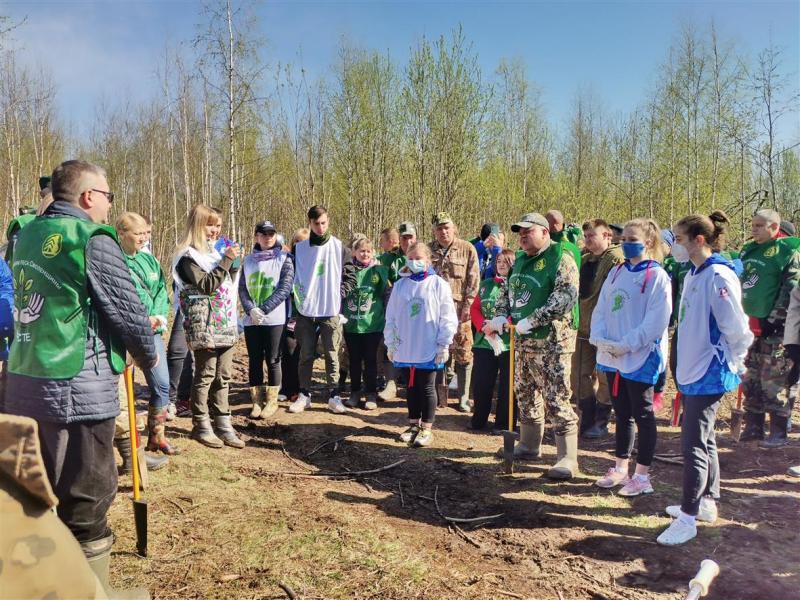 Центр защиты леса Смоленской области принял участие в акции «Сад памяти»