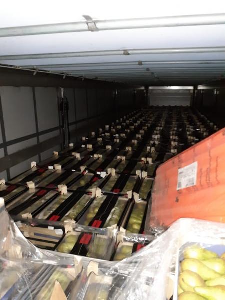 80 тонн санкционных груш выявили смоленские таможенники на российско-белорусском участке границы