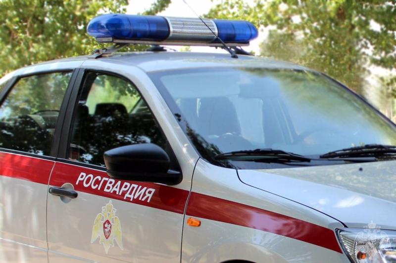В Петрозаводске сотрудники вневедомственной охраны задержали участника драки