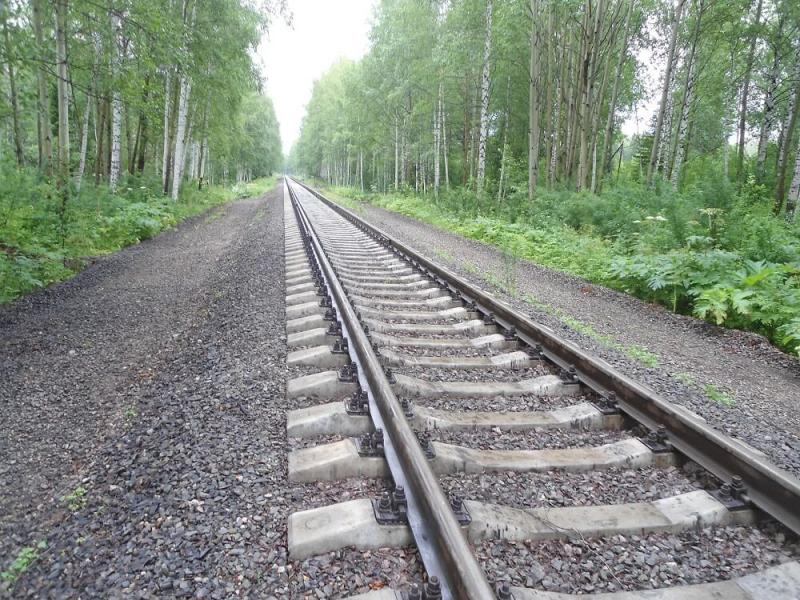 Новороссийской транспортной прокуратурой выявлены нарушения законодательства о пожарной безопасности и природоохранного законодательства при содержании полосы отвода железной дороги