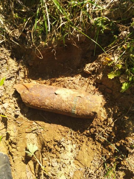 Взрывотехники ОМОН г.Череповец обследовали подозрительный предмет, обнаруженный в Кадуйском районе Вологодской области