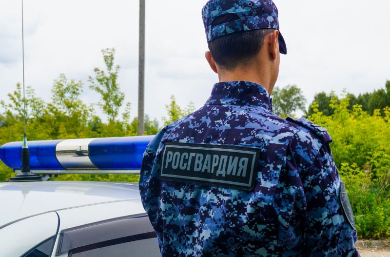 В Марий Эл сотрудники Росгвардии задержали гражданку, разыскиваемую правоохранительными органами Республики Татарстан