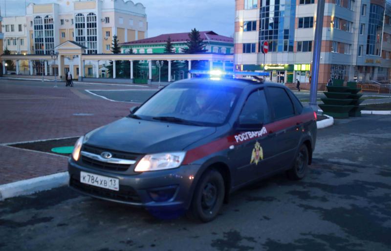 В Мордовии за сутки росгвардейцы оказали содействие сотрудникам ДПС в задержании двух пьяных водителей