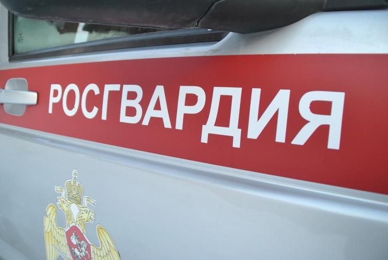 Кировские росгвардейцы задержали подозреваемого в нанесении побоев и хищении телефона