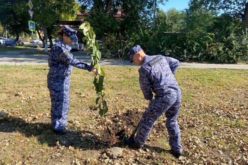 Росгвардия провела экологические акции в Ростовской области