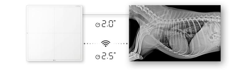 ВЕТЕРИНАРНЫЙ ПЛОСКИЙ ЦИФРОВОЙ ДЕТЕКТОР РЕНТГЕНОВСКОГО ИЗЛУЧЕНИЯ (DXD) LG  17HK701G-WV: ТОЧНОСТЬ ДИАГНОСТИКИ И ПОВЫШЕННАЯ ЭФФЕКТИВНОСТЬ РАБОТЫ