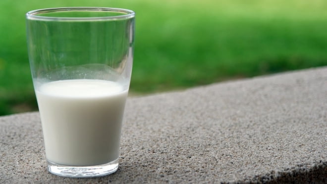 Молоко в Мордовии с 1 декабря станет другим