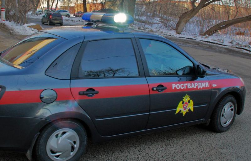 В Зубово-Полянском районе Республики Мордовия росгвардейцы задержали пьяного водителя