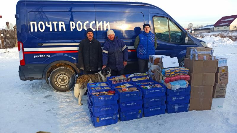 Более 500 кг корма для бездомных собак собрали томичи во время почтовой акции «Пачка для собачки»