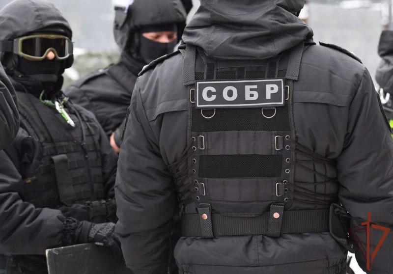 При содействии Росгвардии в Подмосковье задержаны подозреваемые в краже лошадей