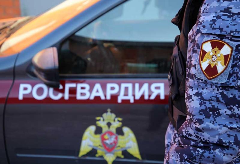 В Краснослободском районе сотрудники Росгвардии задержали гражданина, находящегося в федеральном розыске