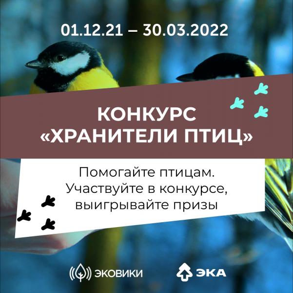Ecowiki приглашает жителей Ульяновской области спасти зимующих птиц от голода