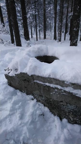 Тело любимой сбросил в заброшенный колодец. Свердловские полицейские задержали подозреваемого в жесткой расправе над женщиной