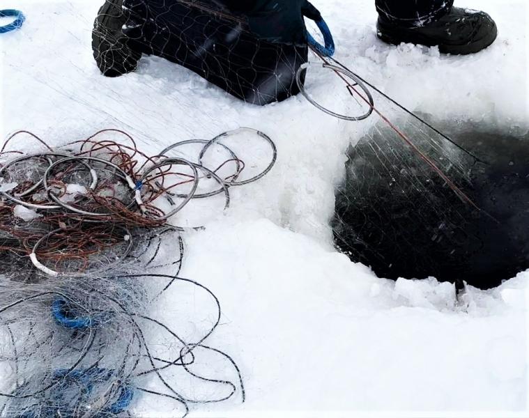 На севере Красноярского края транспортные полицейские задержали двоих подозреваемых в браконьерстве