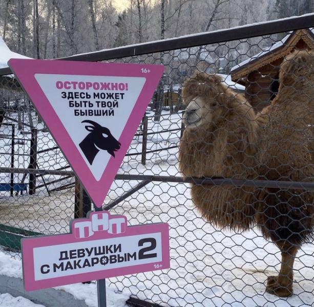 В Красноярске появились новые  предупреждающие знаки розового цвета. 