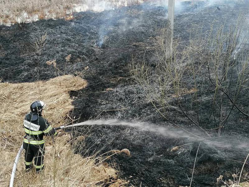 Пожарные ГКУ МО «Мособлпожспас» потушили 11 возгораний сухой травы за сутки