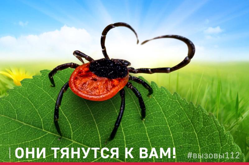 ОНИ ТЯНУТСЯ К ВАМ!