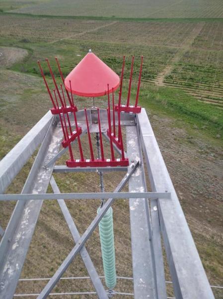 «Россети ФСК ЕЭС» установит птицезащитные устройства на 20 линиях электропередачи Северного Кавказа