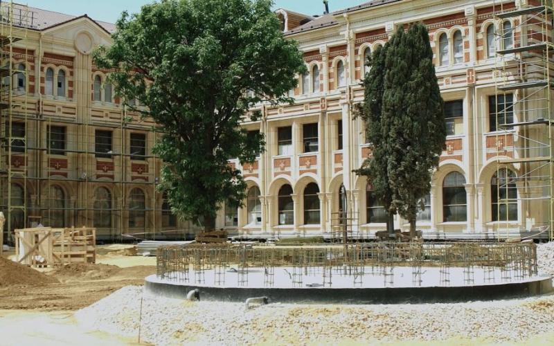 В «Херсонесе Таврическом» сохранены полувековые деревья