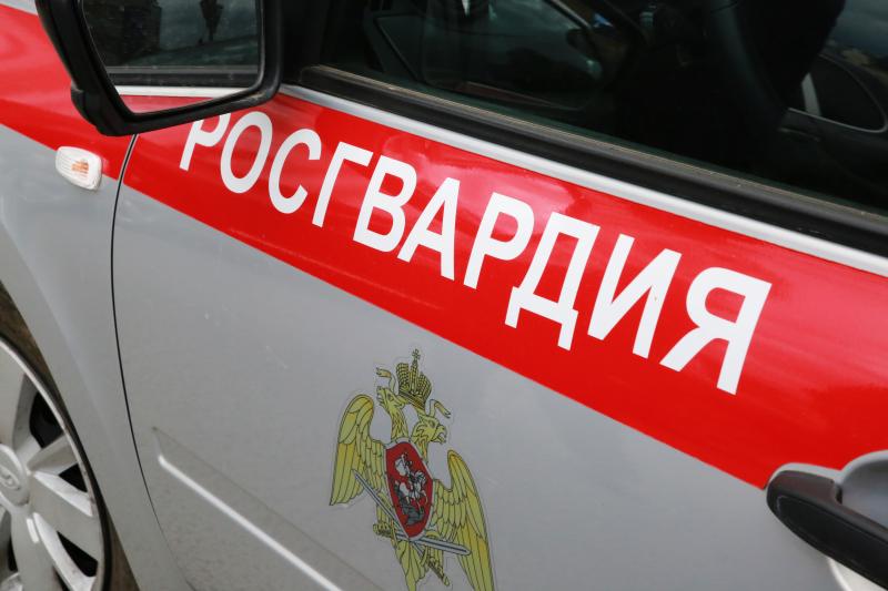 В Рузаевке росгвардейцы задержали мужчину по подозрению в повреждении автомобиля