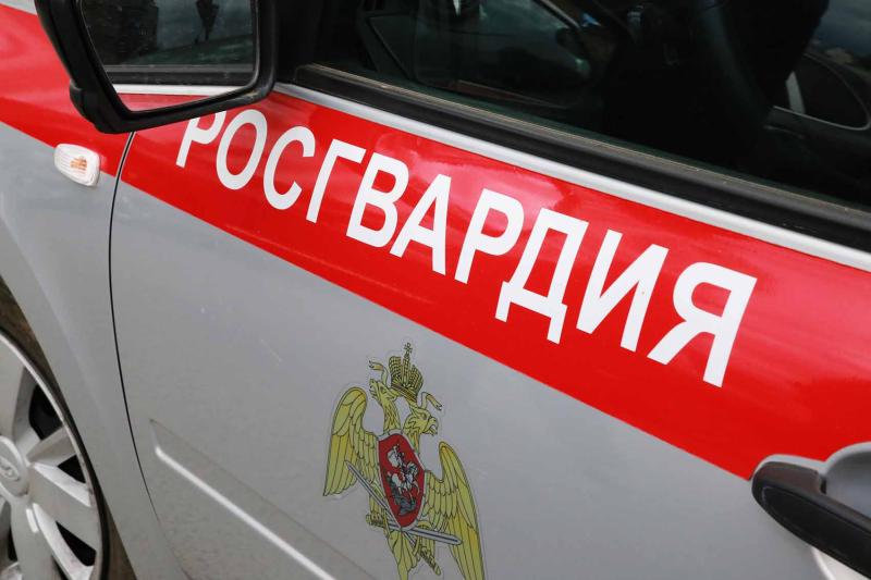 В Мордовии росгвардейцы задержали женщину по подозрению в нанесении побоев