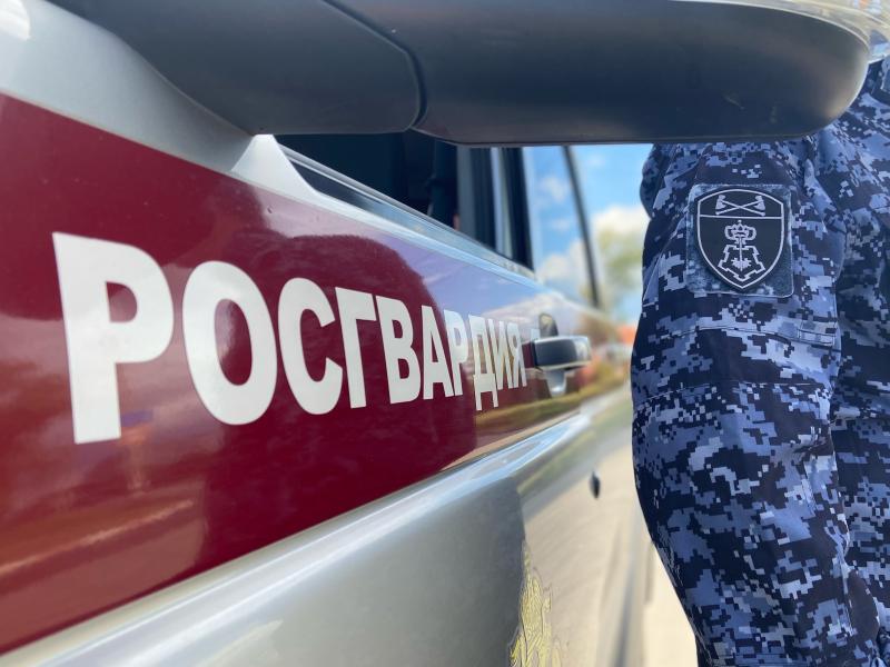 В Ульяновске росгвардейцы задержали ранее судимого гражданина, подозреваемого в нанесении ножевого ранения