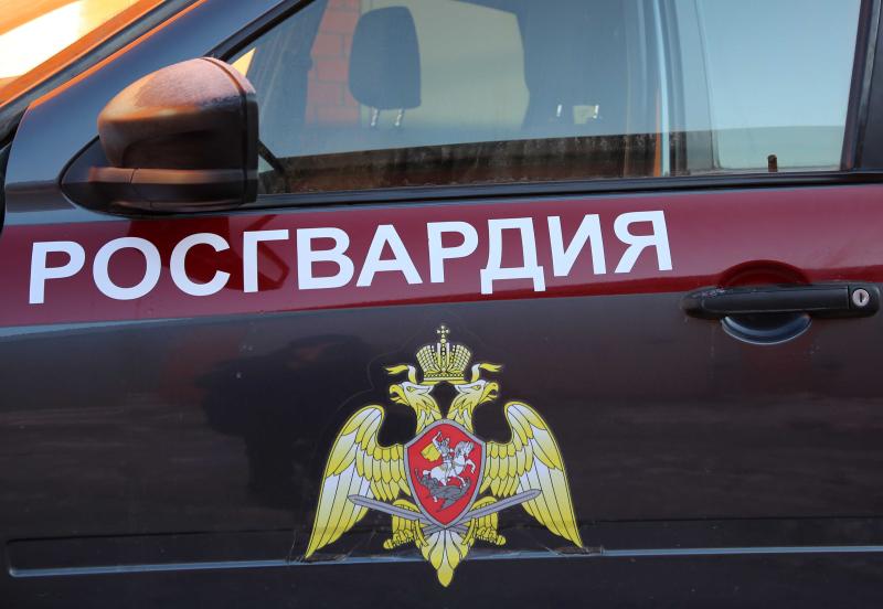 В Зубово-Поляне росгвардейцы оказали содействие сотрудникам ДПС в задержании пьяной автоледи